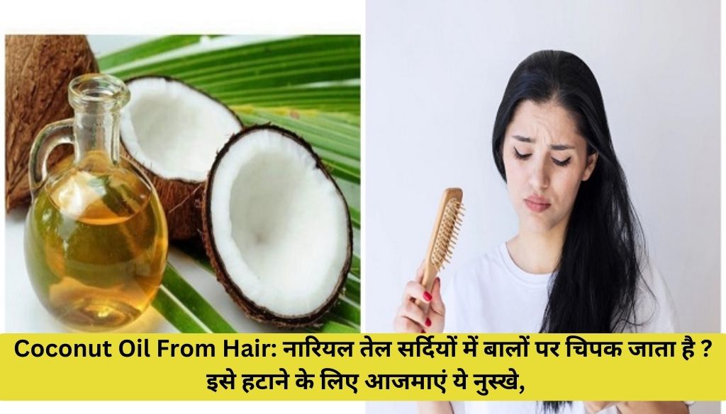 Coconut Oil From Hair: नारियल तेल सर्दियों में बालों पर चिपक जाता है ? इसे हटाने के लिए आजमाएं ये नुस्खे,