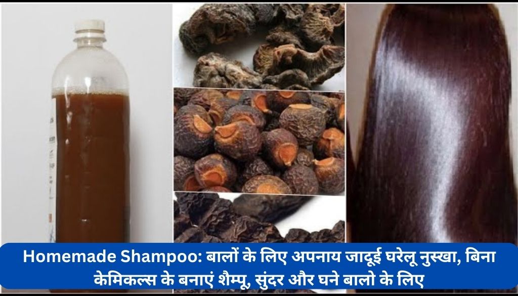 Homemade Shampoo: बालों के लिए अपनाय जादूई घरेलू नुस्खा, बिना केमिकल्स के बनाएं शैम्पू, सुंदर और घने बालो के लिए