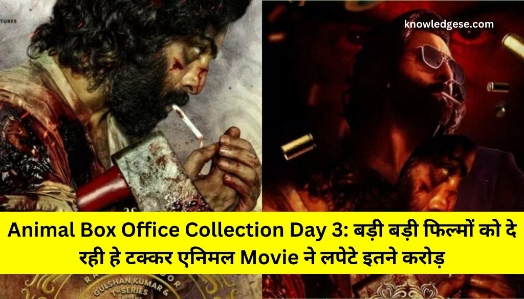 Animal Box Office Collection Day 3