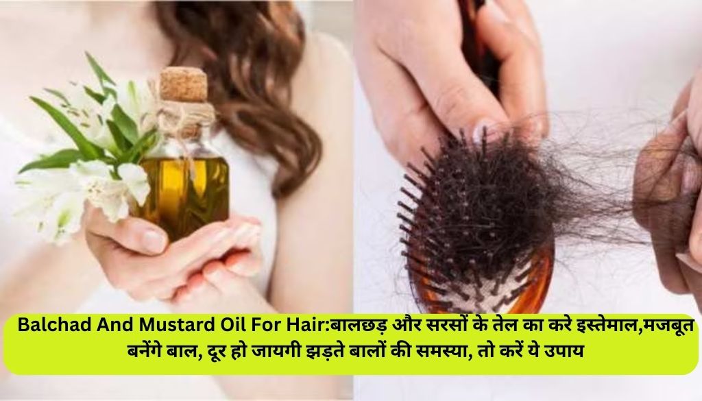 Balchad And Mustard Oil For Hair:बालछड़ और सरसों के तेल का करे इस्तेमाल, मजबूत बनेंगे बाल, दूर हो जायगी झड़ते बालों की समस्या, तो करें ये उपाय